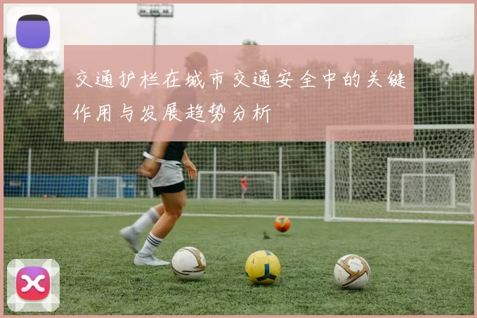 交通护栏在城市交通安全中的关键作用与发展趋势分析