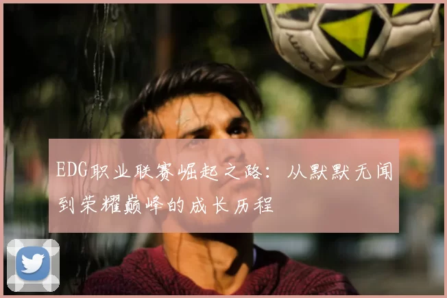 EDG职业联赛崛起之路：从默默无闻到荣耀巅峰的成长历程