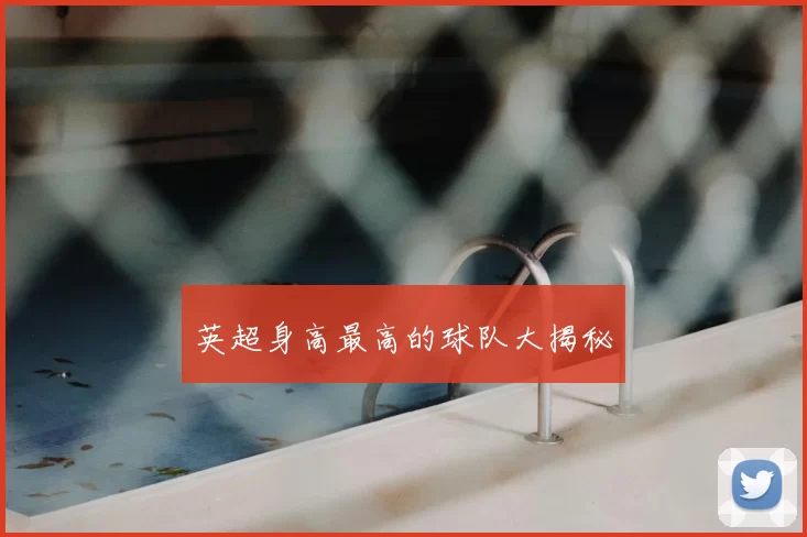 英超身高最高的球队大揭秘