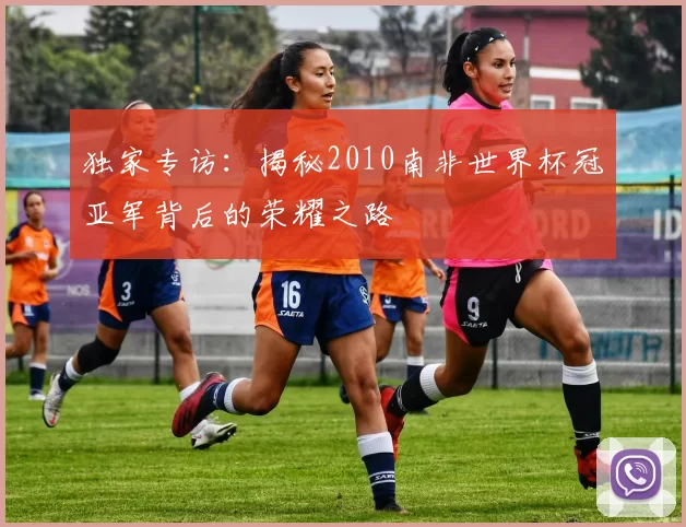 独家专访：揭秘2010南非世界杯冠亚军背后的荣耀之路