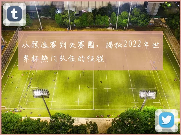 从预选赛到决赛圈，揭秘2022年世界杯热门队伍的征程