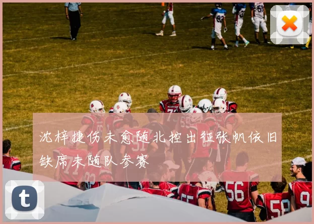 沈梓捷伤未愈随北控出征张帆依旧缺席未随队参赛
