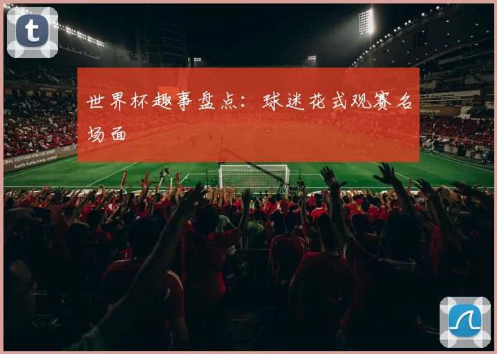 世界杯趣事盘点：球迷花式观赛名场面