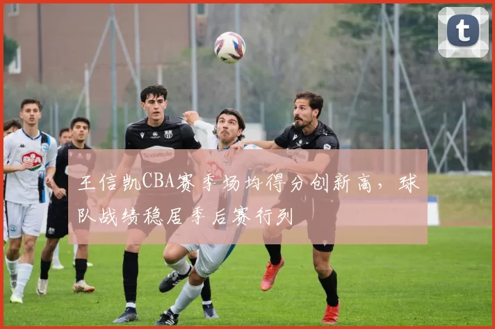 王信凯CBA赛季场均得分创新高，球队战绩稳居季后赛行列